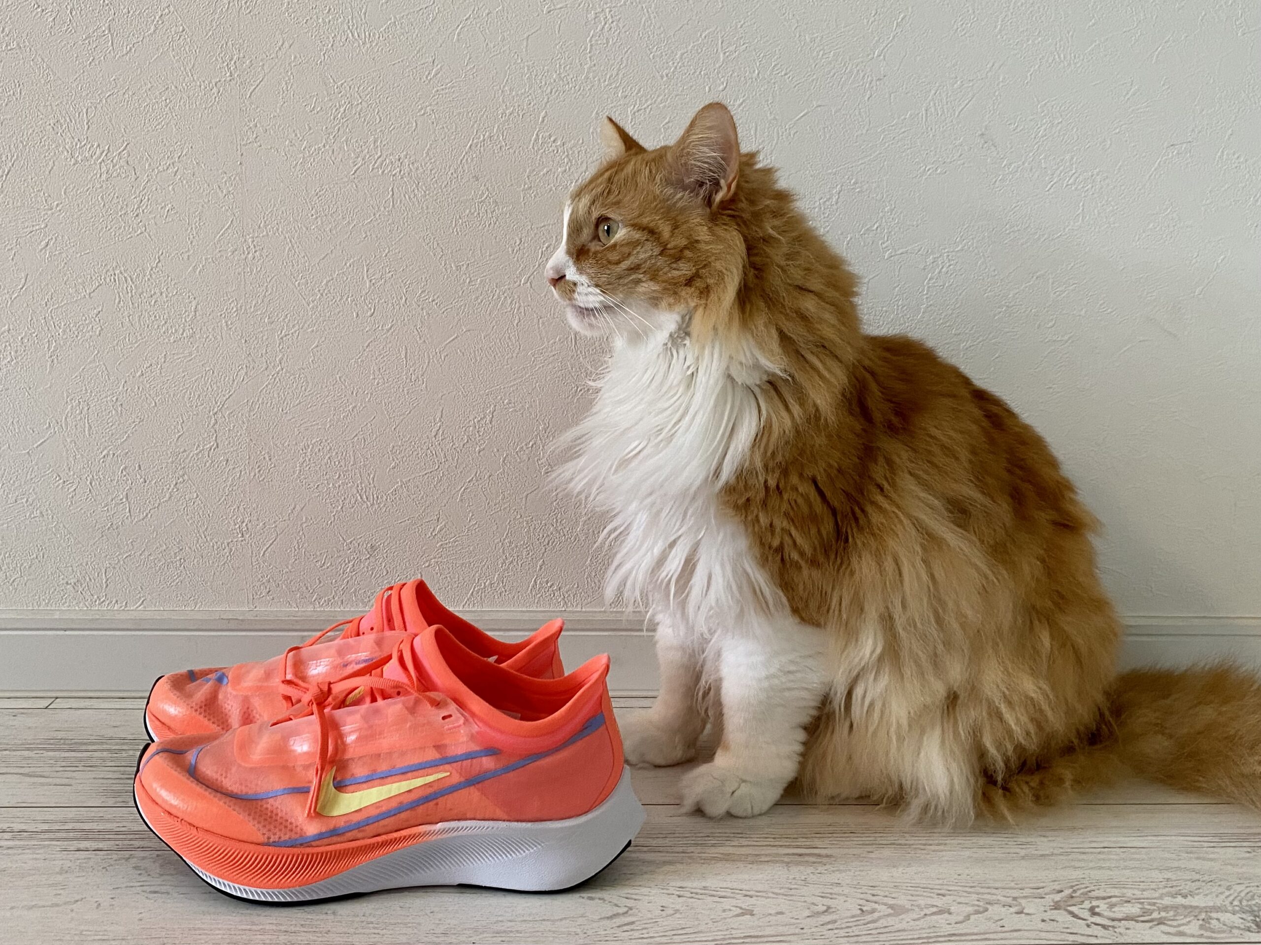 ナイキ（NIKE） ランニングシューズ Zoom Fly 3 26.5cm - ランニング