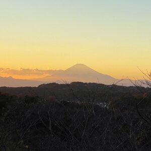 「関東の富士見百景」