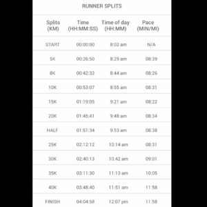 10月9日（日）【シカゴマラソン 42.195km(5'48")】公式ラップ