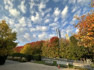 シカゴの紅葉
